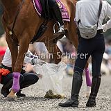 AoiMatsuri 20150515_009 CPR.jpg