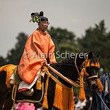 AoiMatsuri 20150515_025 CPR.jpg