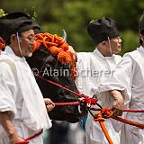 AoiMatsuri 20150515_055 CPR.jpg