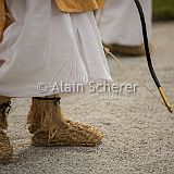 AoiMatsuri 20150515_527 CPR.jpg