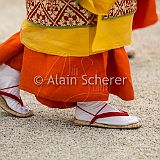 AoiMatsuri 20150515_566 CPR.jpg