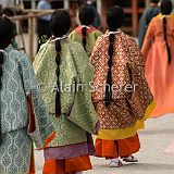 AoiMatsuri 20150515_570 CPR.jpg