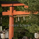 AoiMatsuri 20150515_571 CPR.jpg