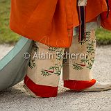 AoiMatsuri 20150515_578 CPR.jpg