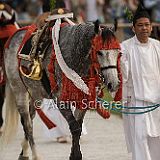 AoiMatsuri 20150515_590 CPR.jpg