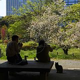 Hamarikyu 200704_6619 CPR.jpg