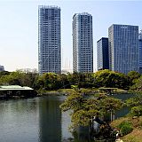 Hamarikyu 200704_6626 CPR.jpg