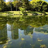 Hamarikyu 200704_6641 CPR.jpg