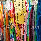 Hiroshima 20150513_010 CPR.jpg