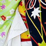 Kyoto Gion_20100506_7D4026_PRT CPR.jpg