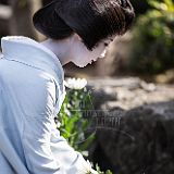 Maiko Gion_20121108_006 CPR.jpg