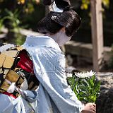 Maiko Gion_20121108_007 CPR.jpg