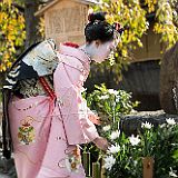 Maiko Gion_20121108_016 CPR.jpg